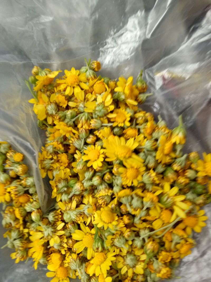野菊花袋装