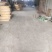 菊花茶特级