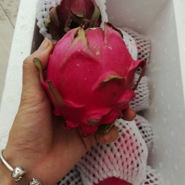红心火龙果4两果5斤装泡沫箱