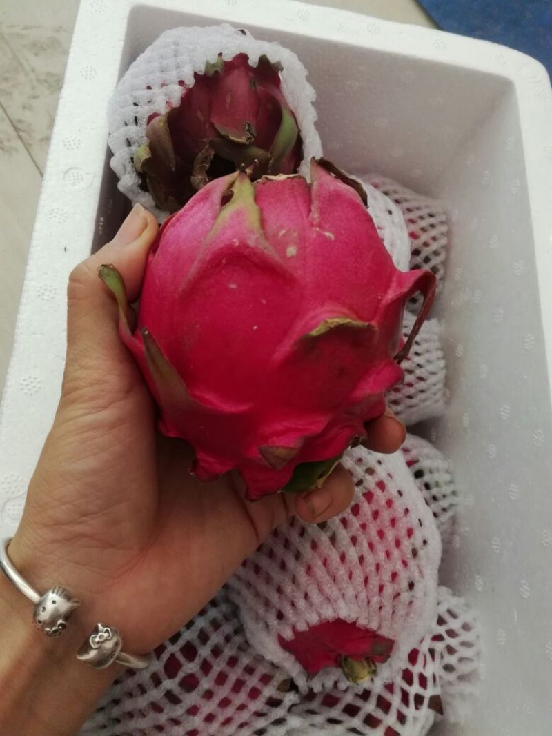红心火龙果4两果5斤装泡沫箱