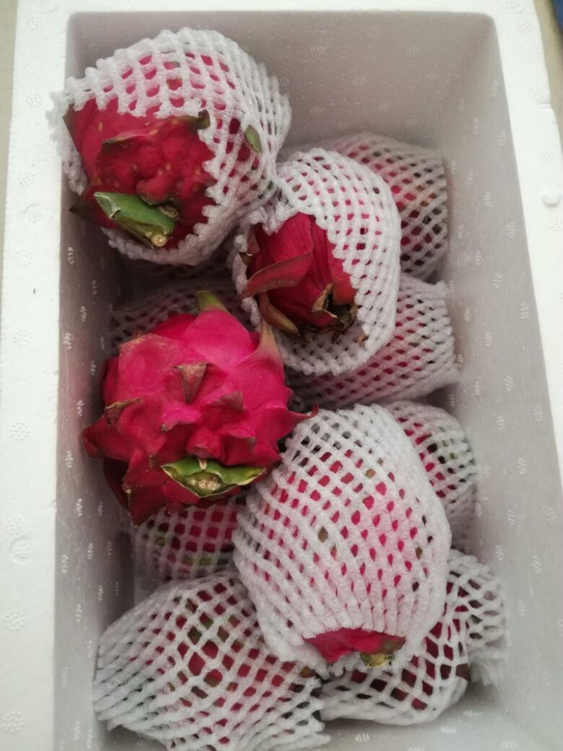 红心火龙果4两果5斤装泡沫箱