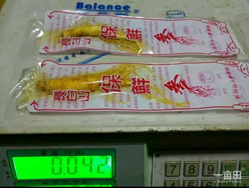 吉林人参鲜