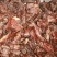 牛肉干