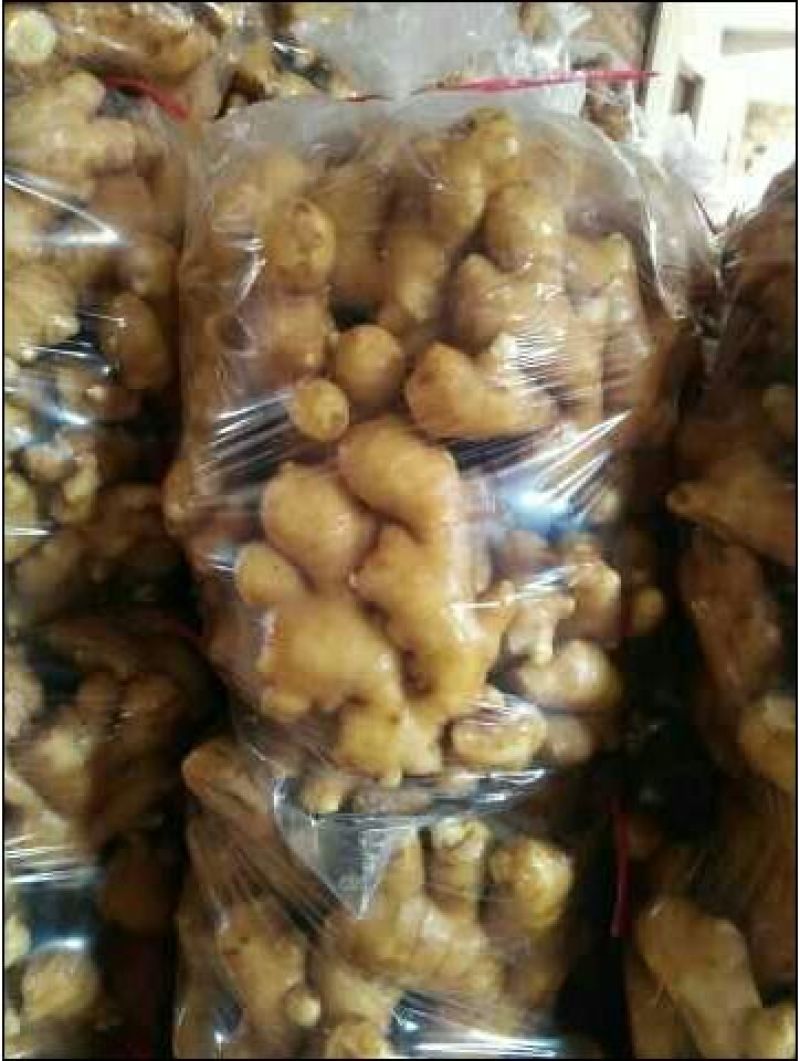 优质生姜5两以上带土大量供应欢迎进店咨询采购！
