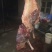 驴肉鲜货