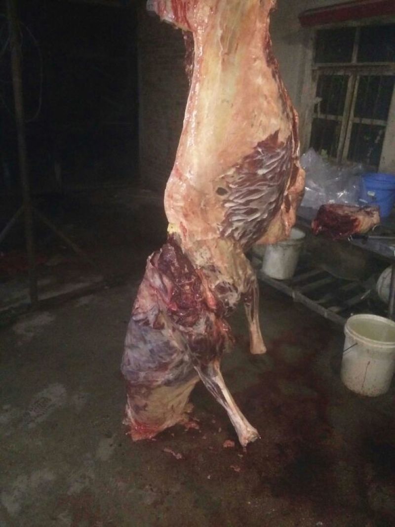 驴肉鲜货