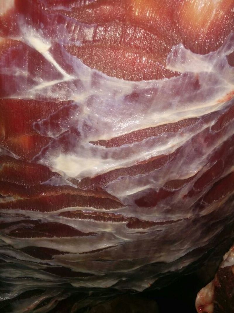 驴肉鲜货