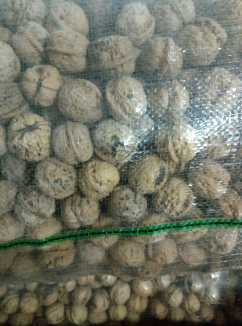 薄皮核桃去皮30mm以上干