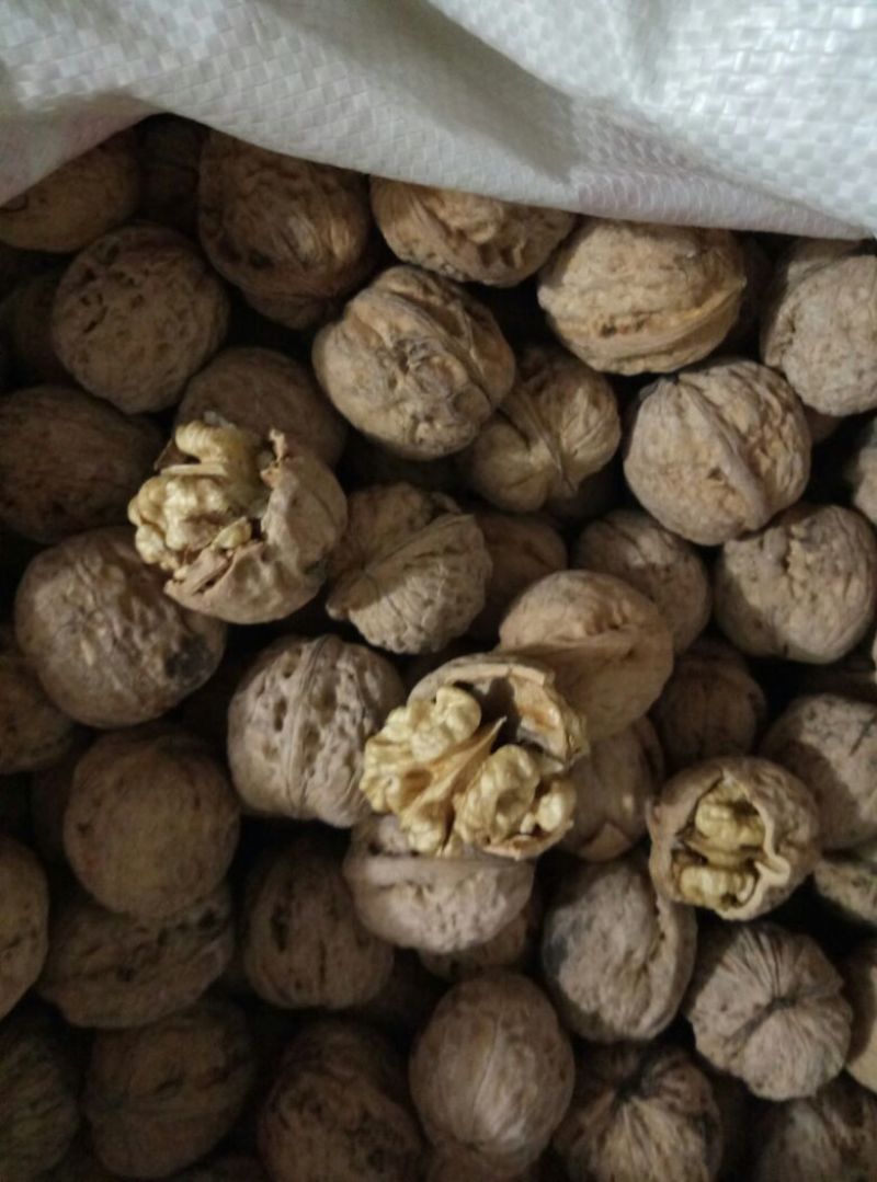 薄皮核桃去皮30mm以上干
