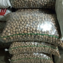 薄皮核桃30mm以上去皮干