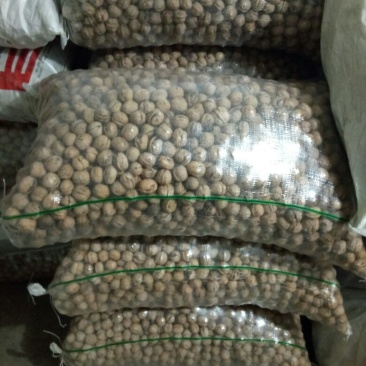 薄皮核桃30mm以上去皮干