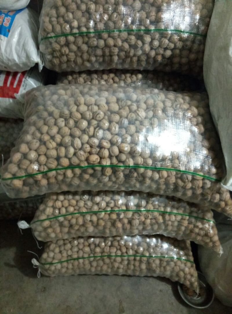 薄皮核桃30mm以上去皮干