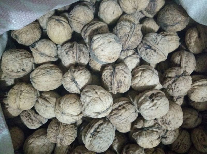 薄皮核桃30mm以上去皮干