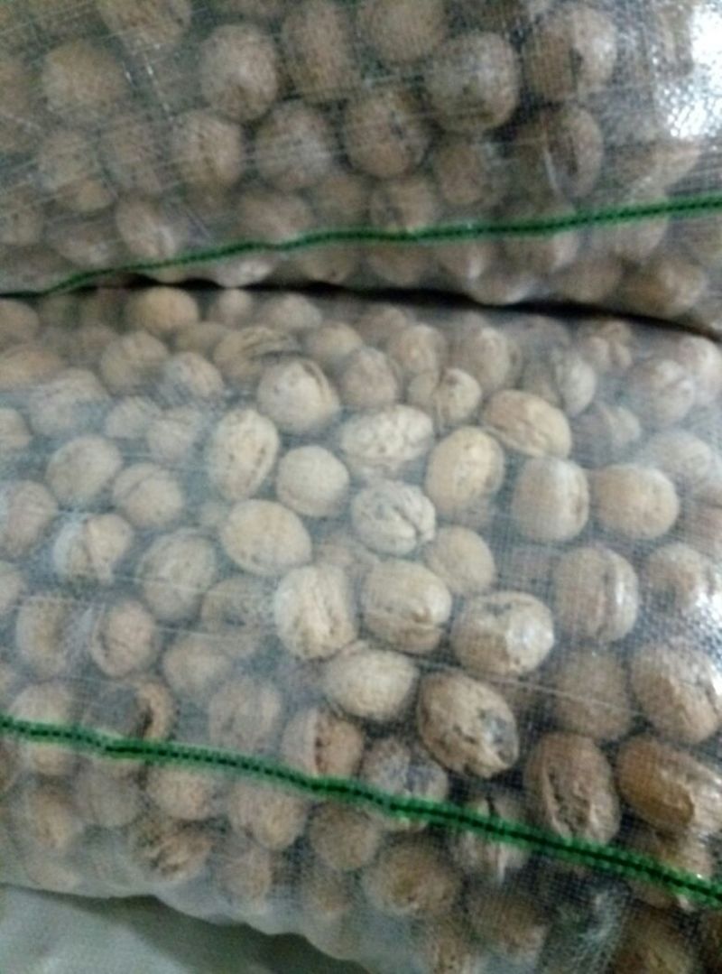 薄皮核桃30mm以上去皮干