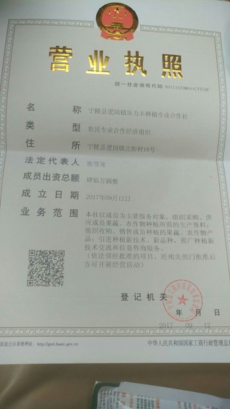 先去尾巴在去杂质在风选花生果后色选花生果