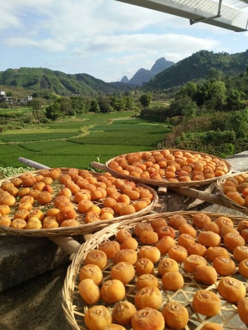 柿饼1两以下