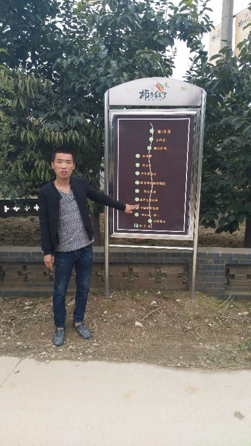 柿饼1~2两