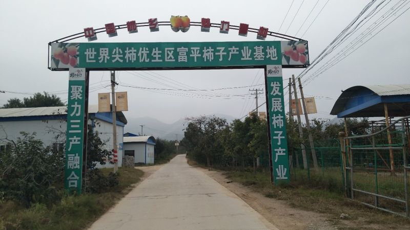 柿饼1~2两