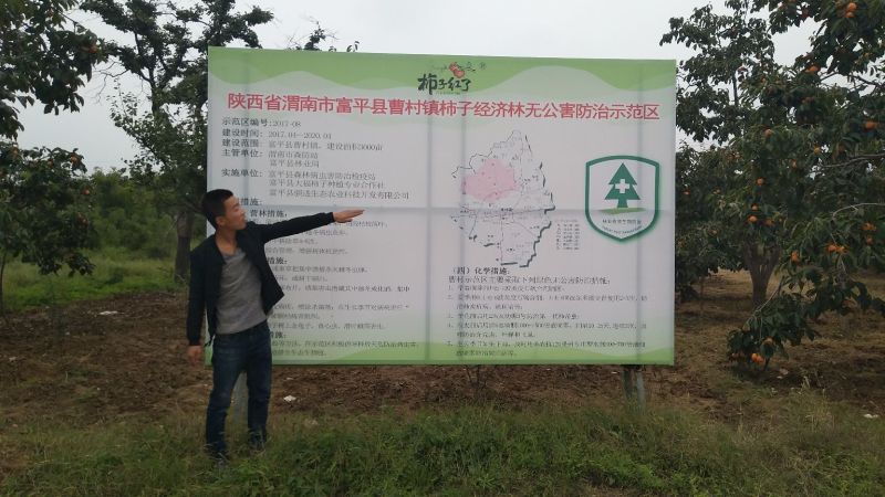 柿饼1~2两