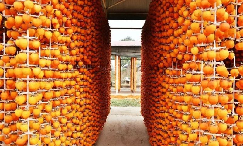柿饼1两以下
