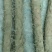 白玉山药3~4厘米一级手捡70~90厘米