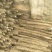 白玉山药3~4厘米一级手捡70~90厘米