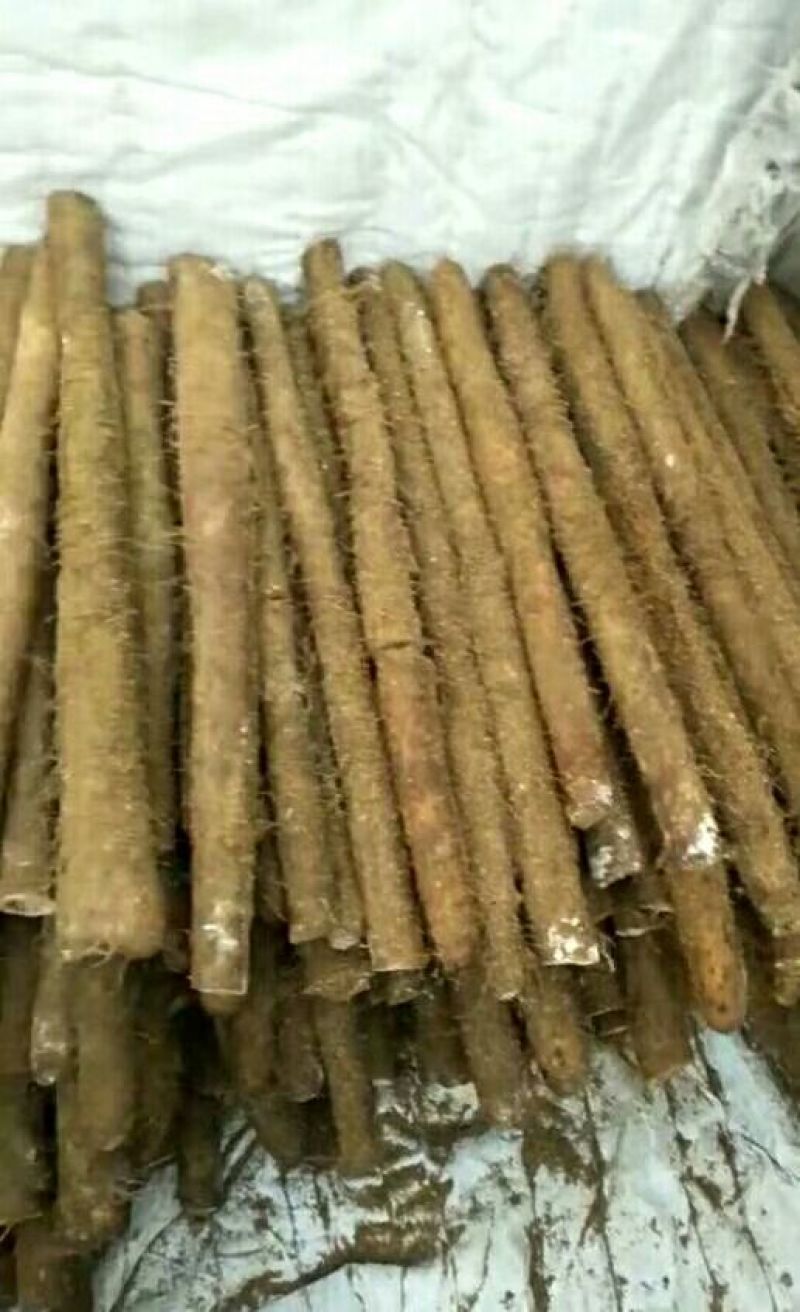白玉山药3~4厘米一级手捡70~90厘米
