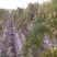 白玉山药3~4厘米一级手捡70~90厘米