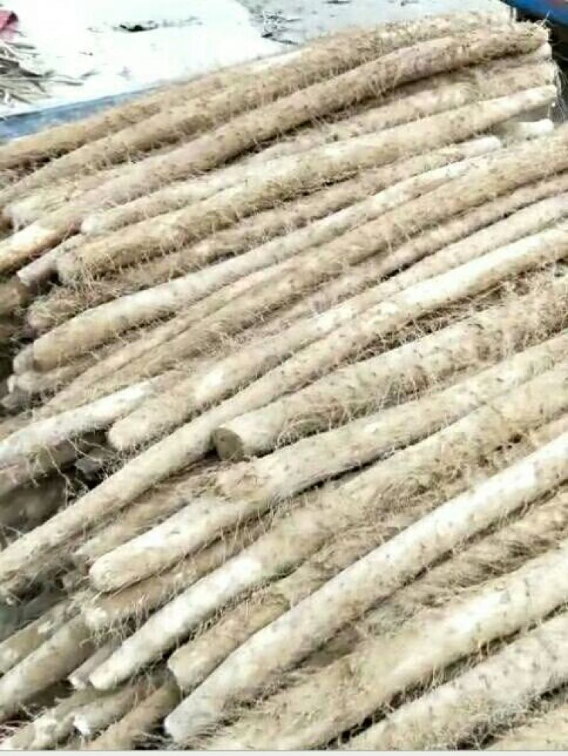 白玉山药3~4厘米一级手捡70~90厘米