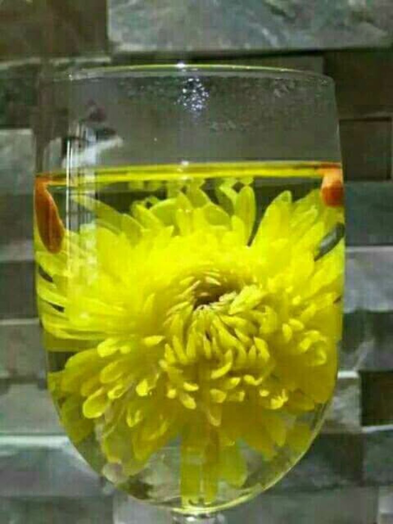 菊花茶一级