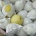 雅安市汉源县金花梨纸袋350~400g