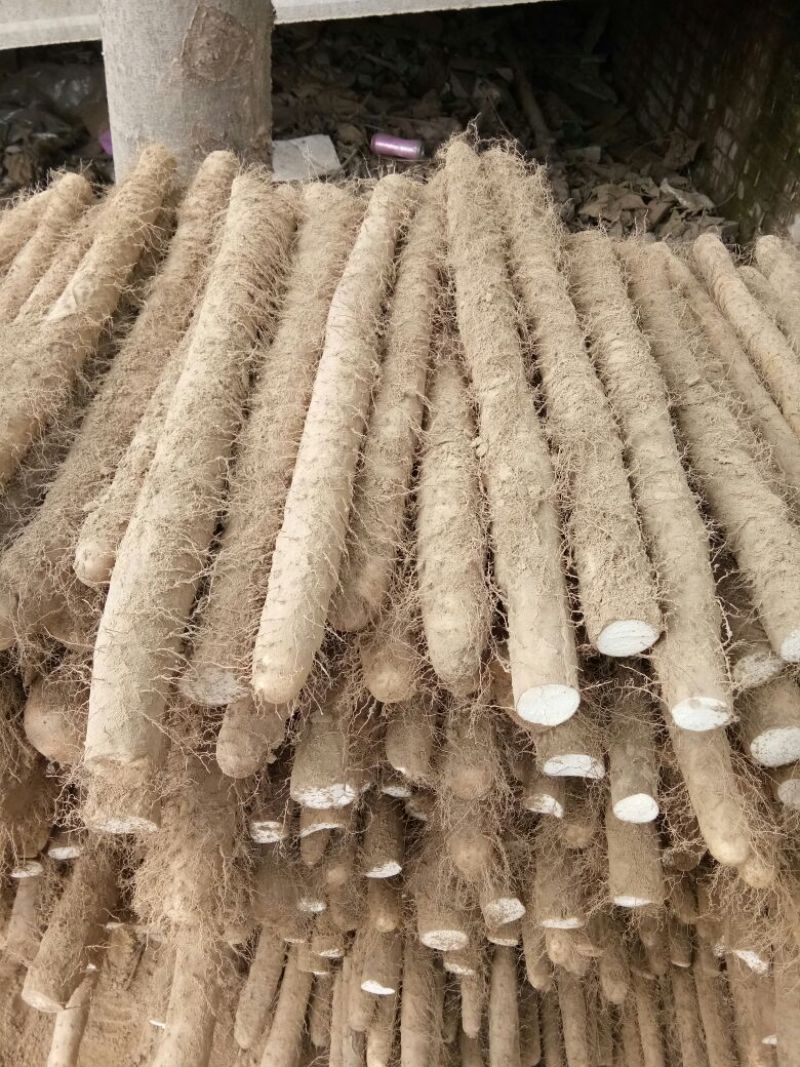白玉山药3~4厘米一级通货40～70厘米