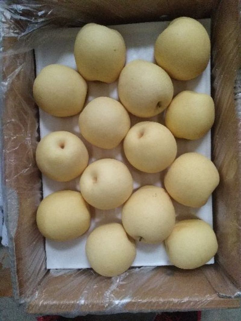 皇冠梨纸箱250~300g