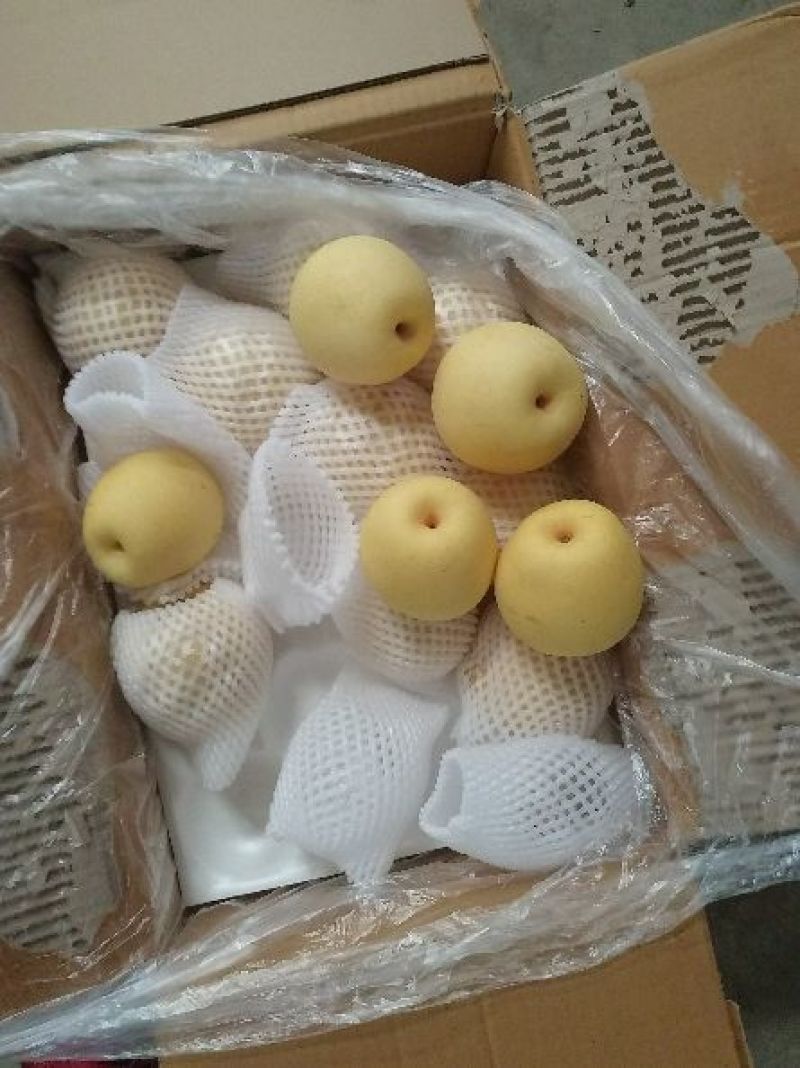 皇冠梨纸箱250~300g