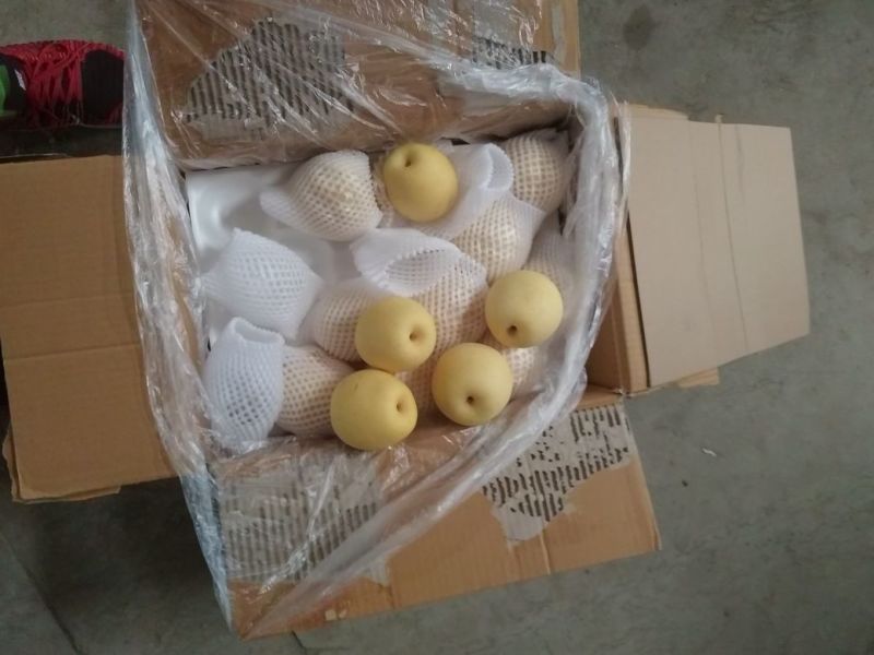皇冠梨纸箱250~300g