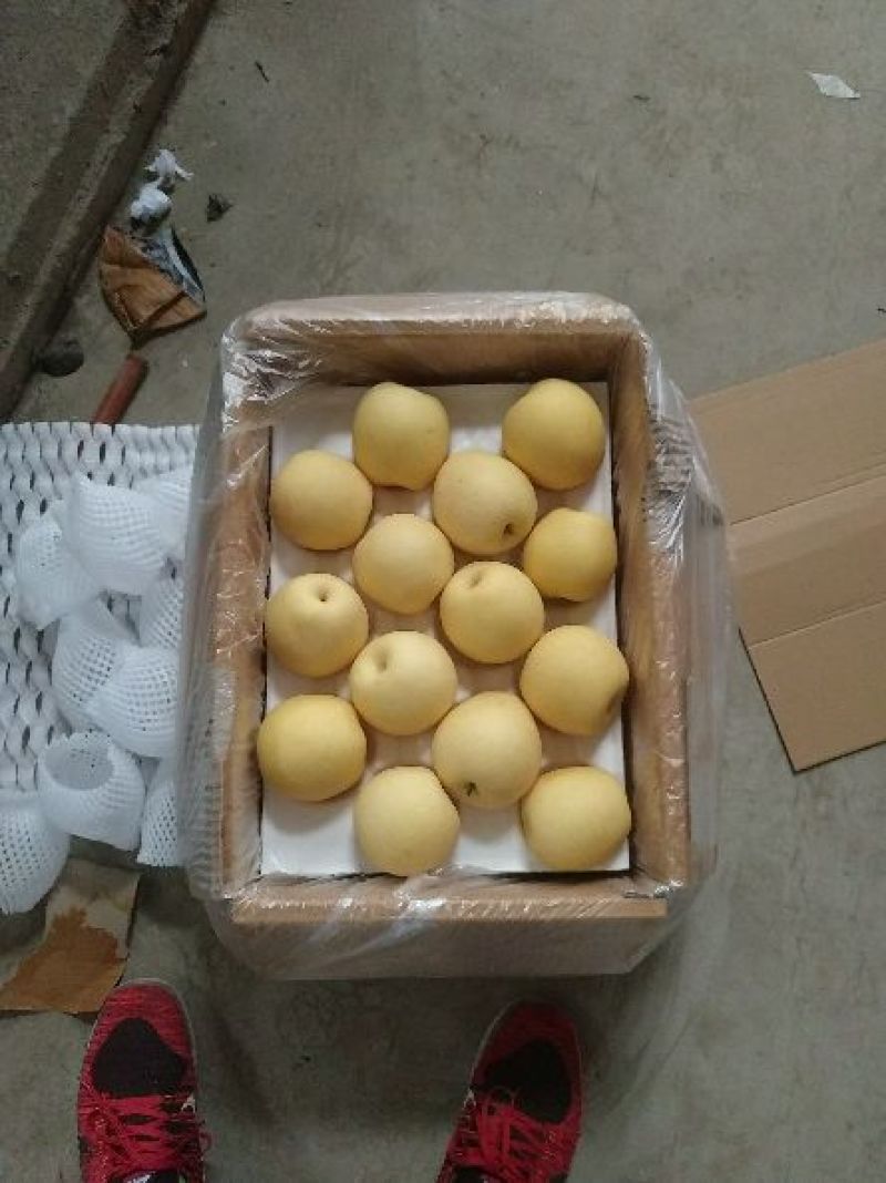 皇冠梨纸箱250~300g