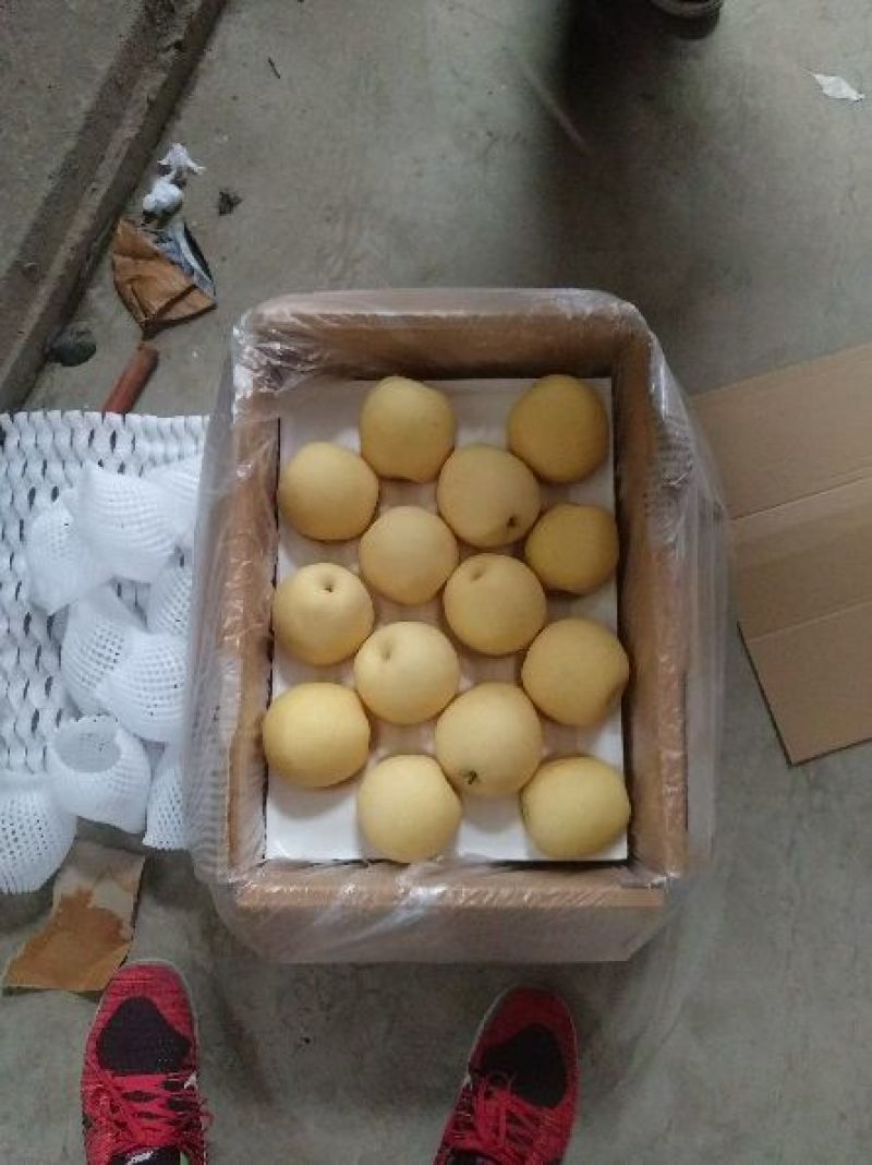皇冠梨纸箱250~300g