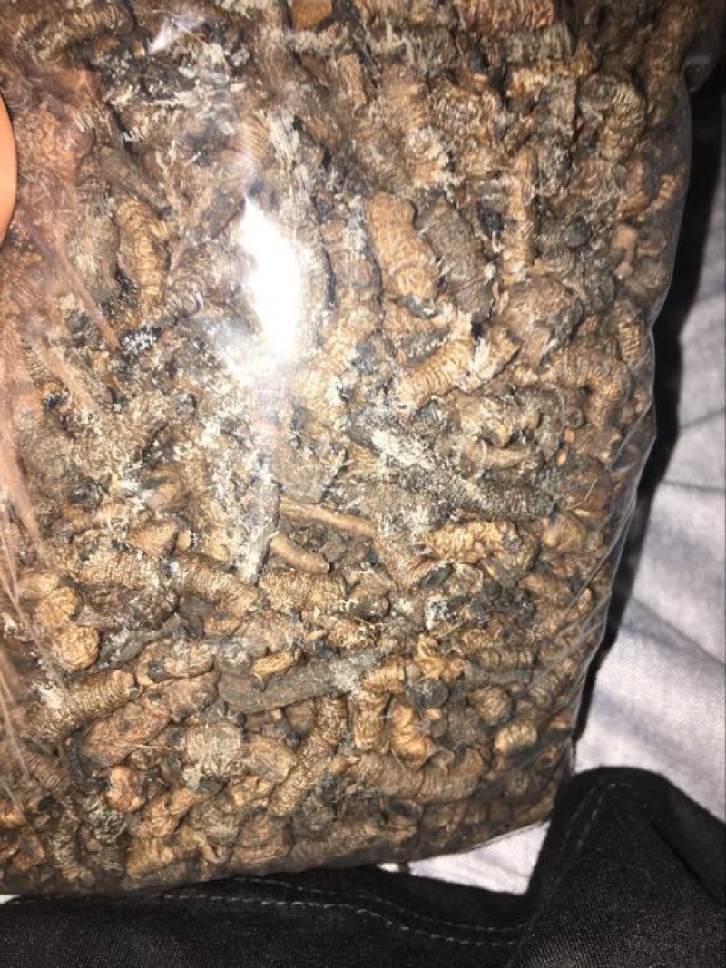 巴戟天三级