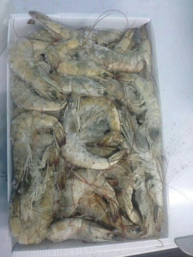 基围虾青岛大虾大虾，肉质鲜嫩爽滑现货秒发