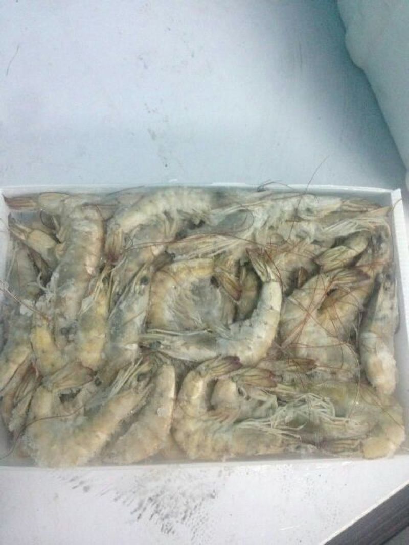 基围虾青岛大虾大虾，肉质鲜嫩爽滑现货秒发