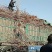 美早樱桃苗2年80cm以上保证纯度保证质量假一赔万