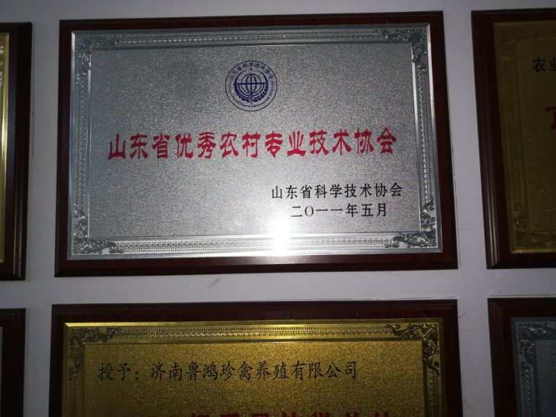 绿壳鸡蛋50g以下食用
