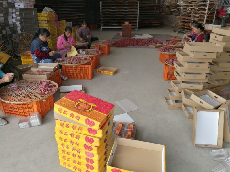 柿饼小吊饼