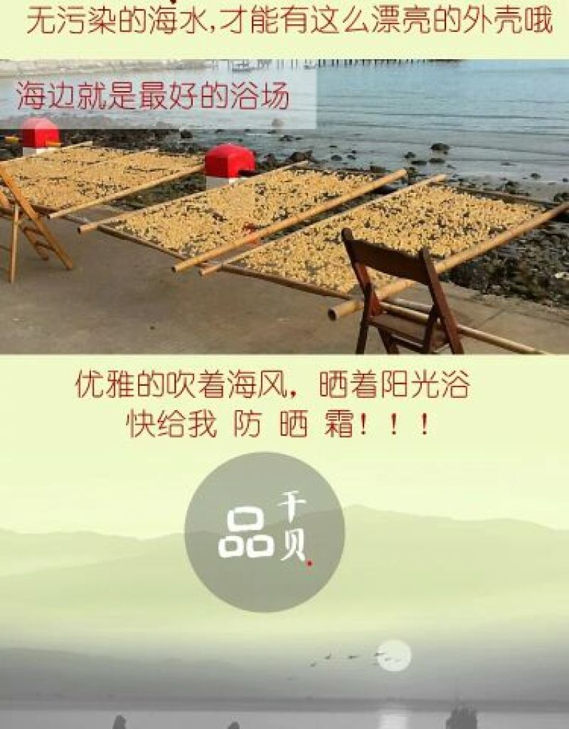 干瑶柱