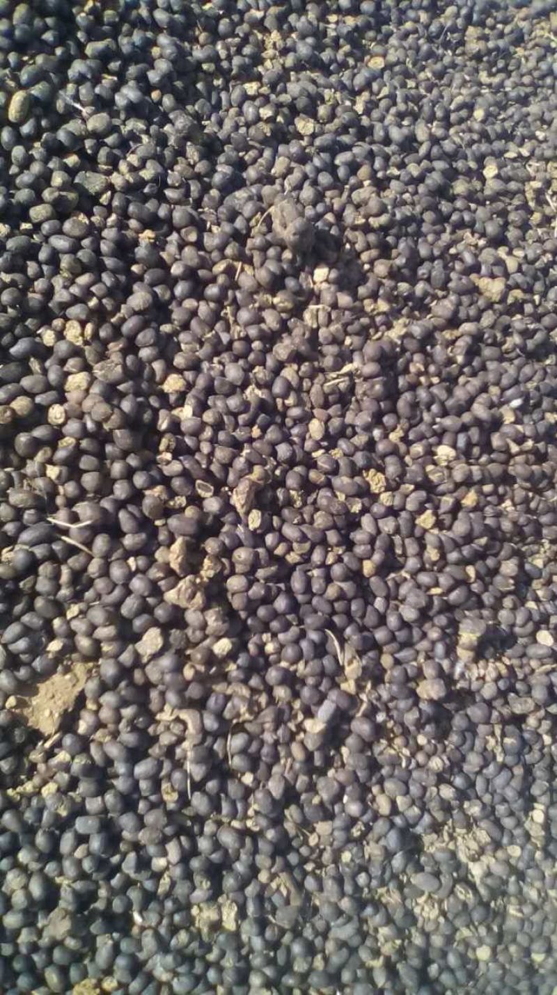 纯羊粪禽畜粪便羊粪60%(3-2-1)50kg*50袋