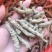 巴戟天一级