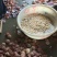 扇贝食用鲜活0.1只/kg以下