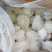 【推荐】精品奶油芭乐白心番石榴产地直发软糯香甜欢迎咨询