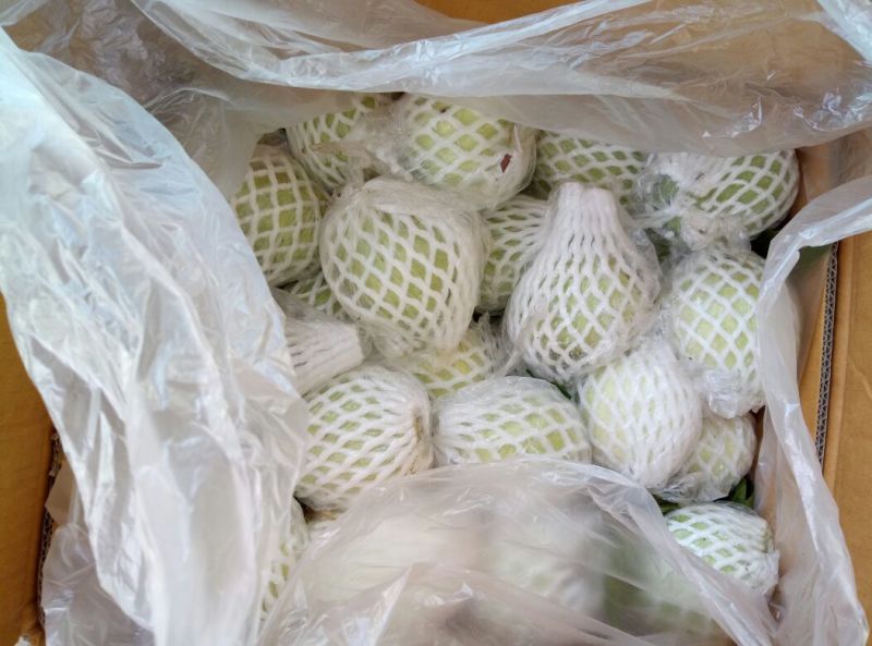 【推荐】精品奶油芭乐白心番石榴产地直发软糯香甜欢迎咨询