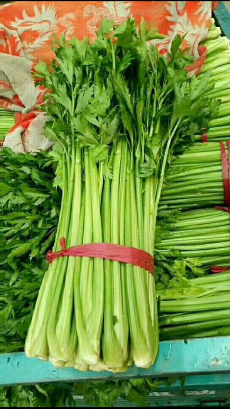 本地精品芹菜，质量有保证，产地真供，专业包装团队